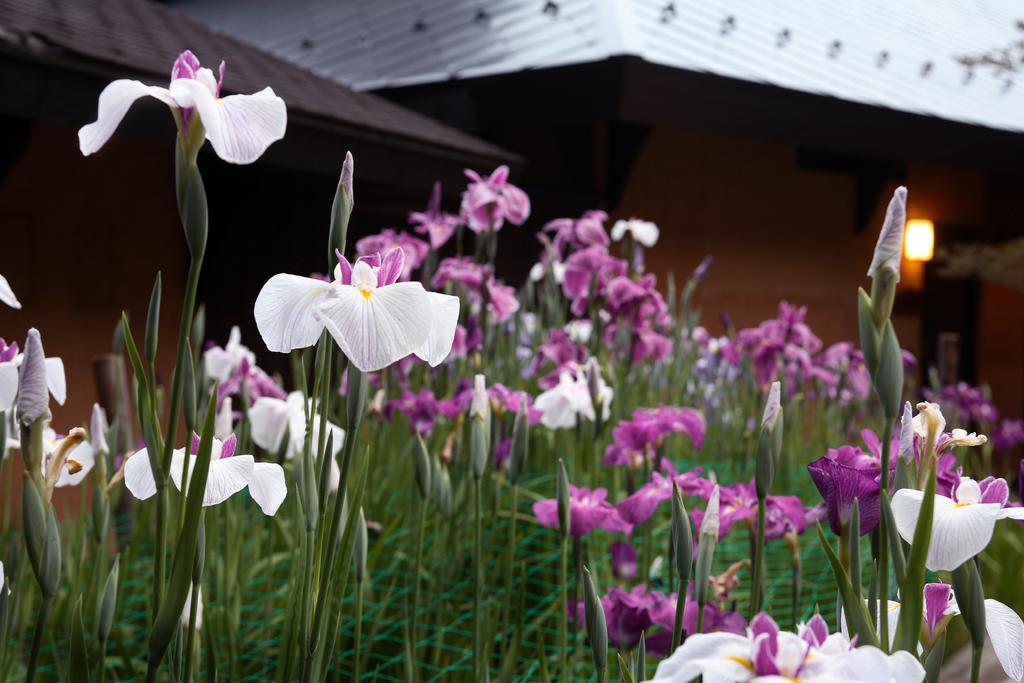 Satonoyu Waraku 13 Years Or Older Hotel Minamioguni Luaran gambar